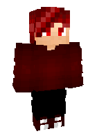 Скин по нику ErwinTr