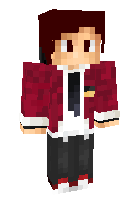 Скин по нику FLYCraft