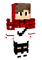 Скин по нику FabbeStudios