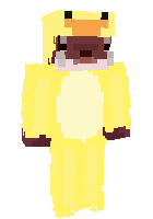 Скин по нику Flaykerzzz