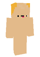 Скин по нику FleNX