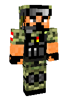 Скин по нику Flex10