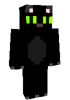 Скин по нику Flipzcat