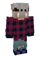 Скин по нику Fride_