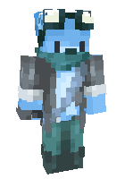 Скин по нику Furry_Disaster