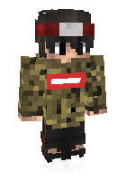 Скин по нику Fynngamer4Life