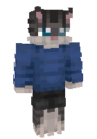 Скин по нику GameCAt