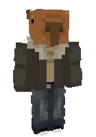 Скин по нику GemmyGamer
