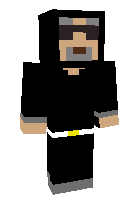 Скин по нику Gilded_Penguin