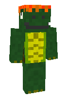 Скин по нику Ginger_Tortoise