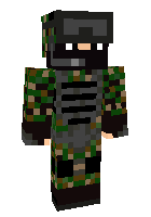 Скин по нику Goodvin