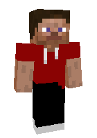 Скин по нику GrayGay