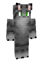 Скин по нику GrayPaw
