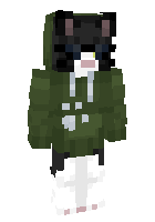 Скин по нику Greencat8549