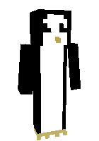 Скин по нику Gunter2