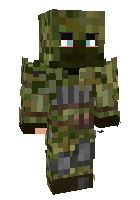 Скин по нику HAVRUS