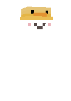 Скин по нику HOJIN