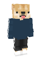 Скин по нику Hank78