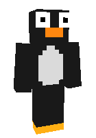 Скин по нику Hanky_01