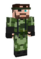 Скин по нику Higgins