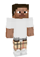 Скин по нику HollowIdle