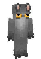 Скин по нику HolyCat