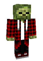 Скин по нику HolzHolz