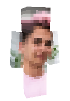 Скин по нику Honshey