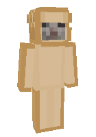 Скин по нику HuskyN1