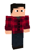 Скин по нику JakerJones