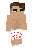 Скин по нику Jekasafly