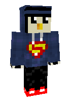 Скин по нику JerickTheCat
