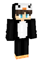 Скин по нику JiNJaProductionz