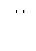 Скин по нику JinMoriii