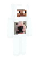Скин по нику Just_Lianx