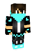 Скин по нику JustinCatBoy