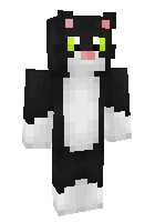 Скин по нику Kitten5