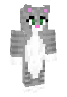 Скин по нику Kitten67