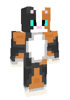 Скин по нику KittyCate