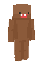 Скин по нику KiwiKun