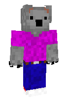 Скин по нику Koala_Keen