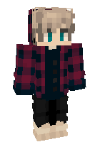 Скин по нику Kripys_03