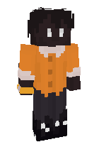 Скин по нику Landok