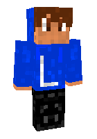 Скин по нику Leerogers99