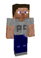 Скин по нику Legohuman