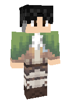 Скин по нику Levi_Ackerman