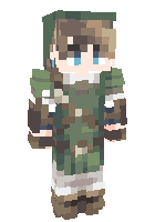 Скин по нику Link_07