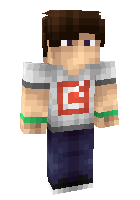 Скин по нику LittleGamer0000