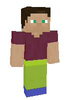 Скин по нику Liyacraft01