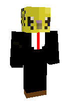 Скин по нику LordBudgie